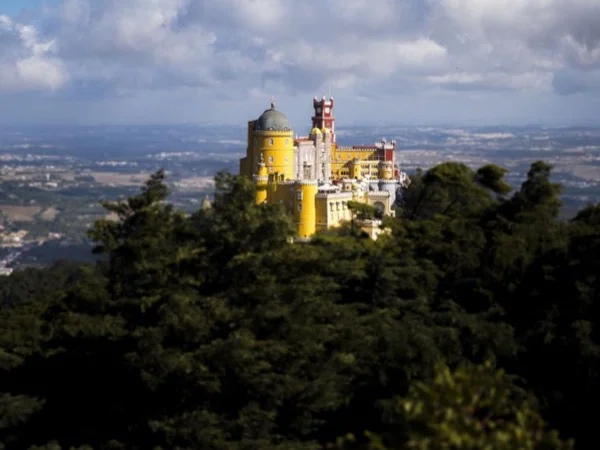 Cover media image