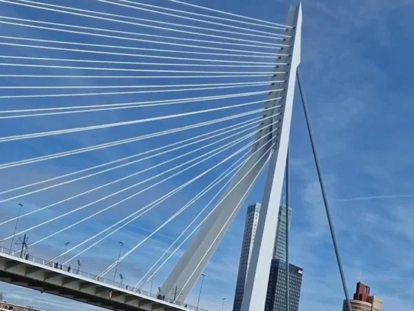 The experience Rotterdam Tour - Half Day