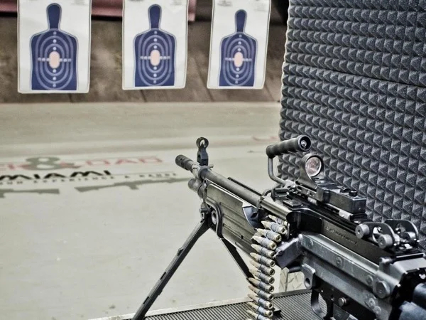 Firearm introduction and Shooting experience