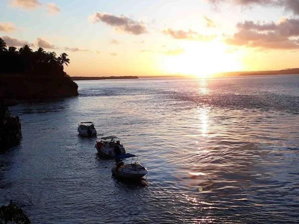 Day tour of Pipa Beach from Natal