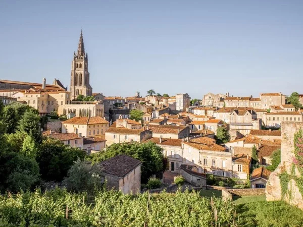 Saint-Emilion Half-Day Tour: wineries and village