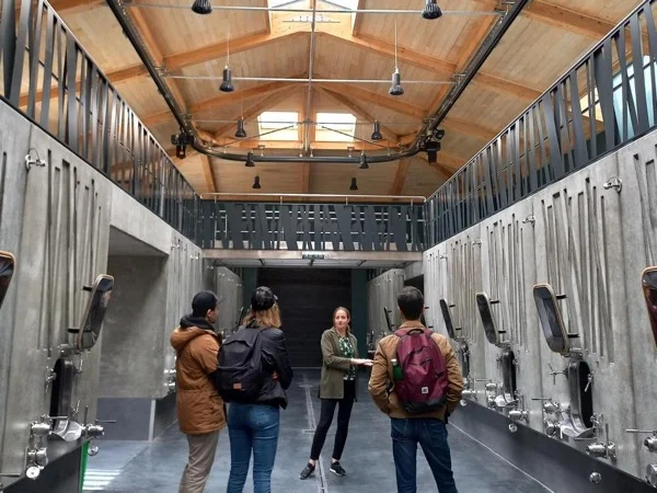 Médoc and Saint-Emilion full day tour: the best of Bordeaux wines