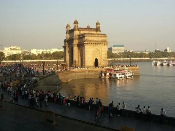 Cover media image