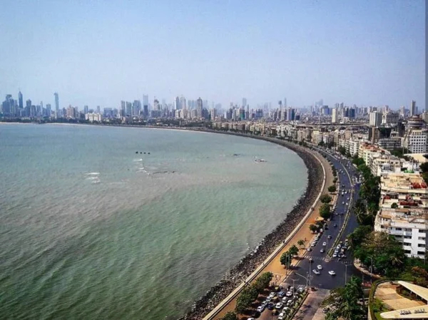 Cover media image