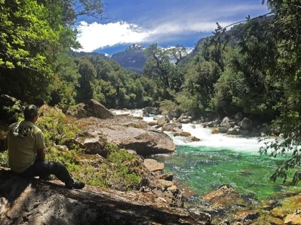 Cover media image