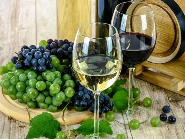 Best of Slovak Wine and Folk Ceramic Art & Tradition - A Trip outside Bratislava
