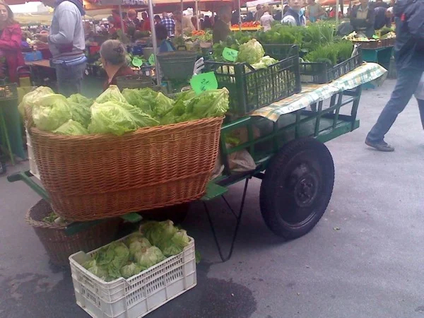 Ljubljana Foodie private Tour