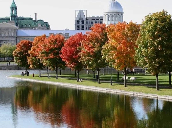 Montreal Shore Excursions Private Customized Discovery Tour for Cruise ship passengers with Ruby