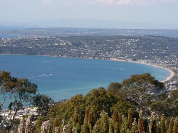Cover media image