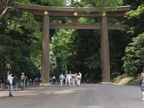 6-hours all inclusive Tokyo Tour visiting Asakusa, Harajuku and Tsukiji fish market or off the beaten tracks.
