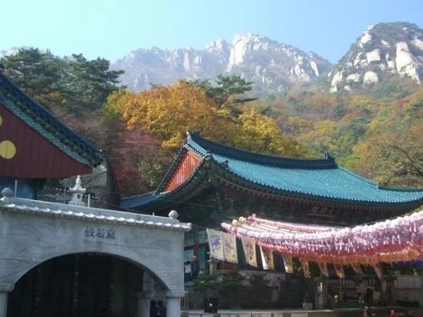 Cover media image