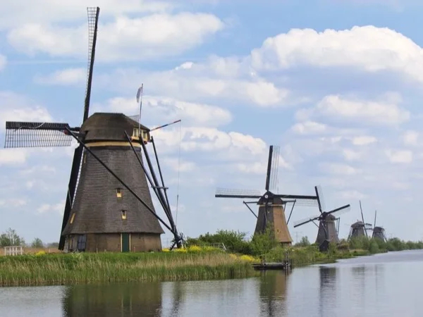 Kinderdijk and Rotterdam with your own art historian and TBL's no 1 guide in Holland: windmills versus modern architecture!