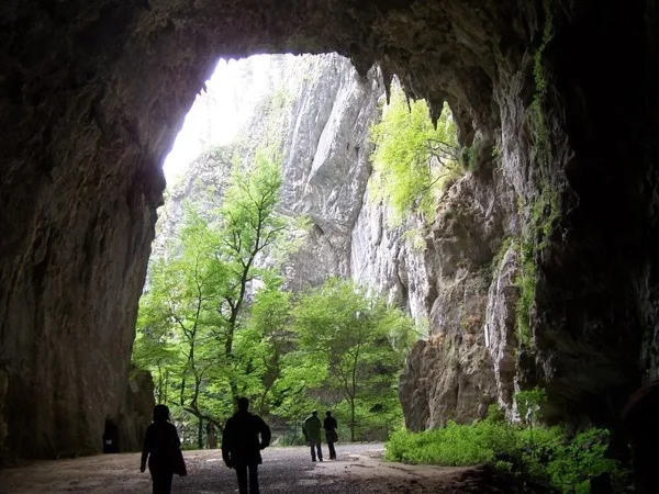 Skocjan caves & Nature park half day tour
