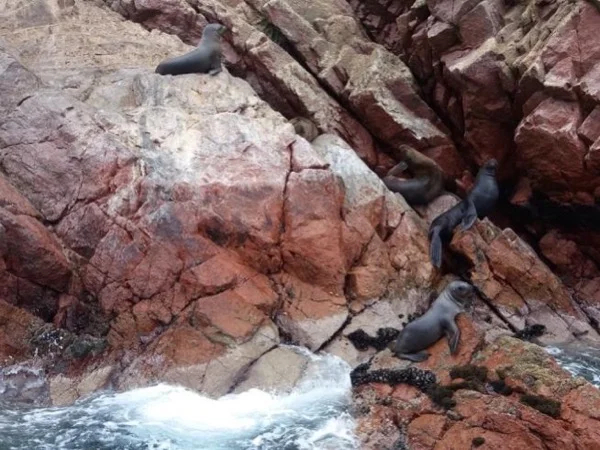 Paracas & Ballestas Islands Multiday Tour