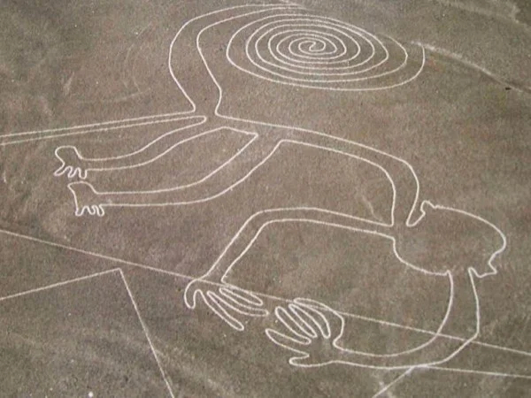 Nazca Lines Tour Full Day Experience