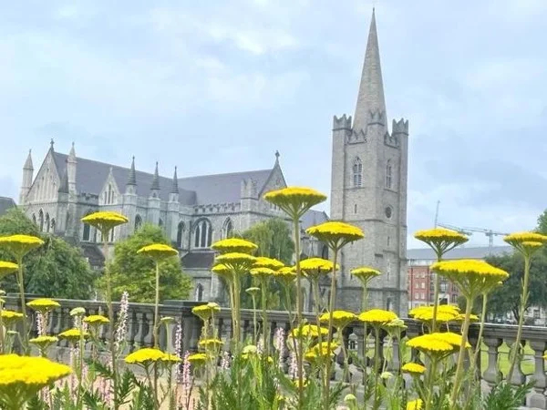 A half day tour of Dublin on foot!