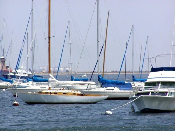 Cover media image