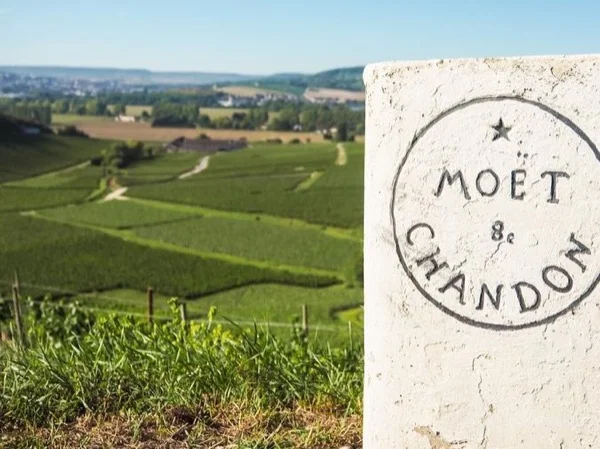 A Taste of Champagne Region in a Private full day Guided Tour