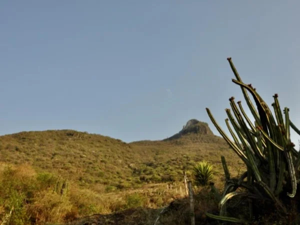 Full Day Hiking Tour Oaxaca