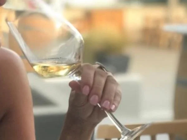 Wine Tasting + Santorini Cave Settlement Excursion