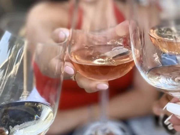 Santorini Wine Tasting at 3 wineries and Greek Food Experience