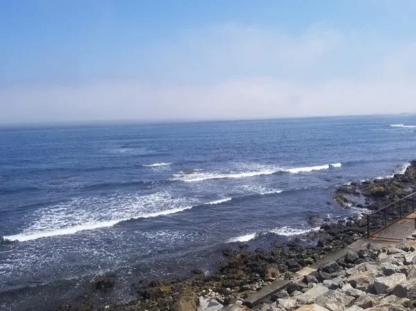 Tour de Newport - Private Bike Tour