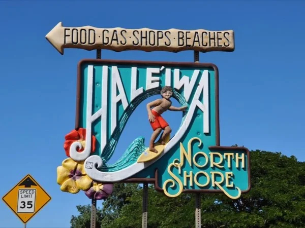 Cover media image