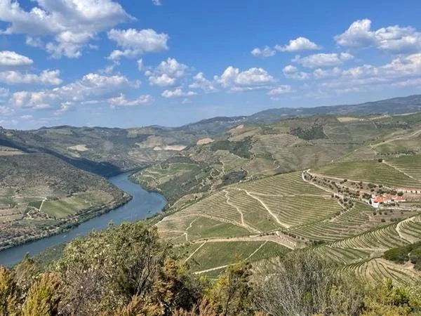 Full Day Douro Valley Wine Circuit - Private Tour