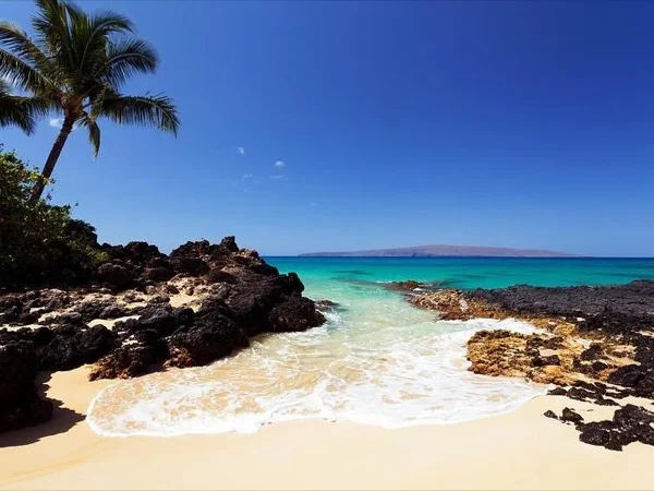 Highlights of Maui - Half Day Hawaiian Shore Excursion