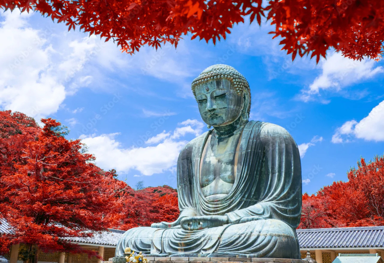 Cover media image