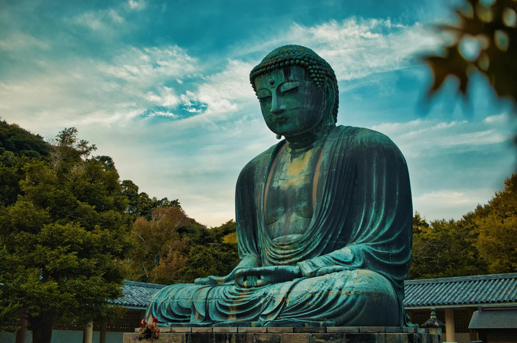 Cover media image