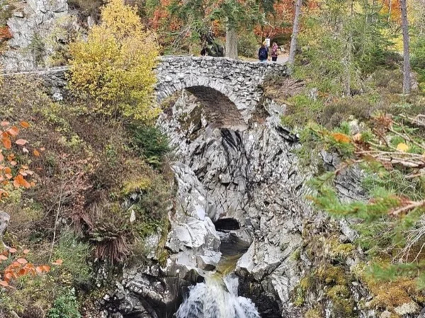 Gateway To The Highlands with a Local - Shore Excursion