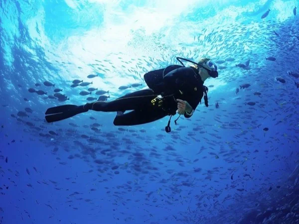 Scuba Diving in Cabo San Lucas Marine Park - Half-Day Shore Excursion