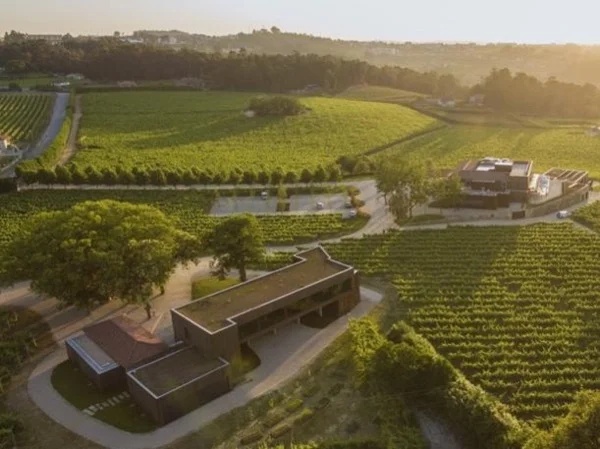 Medieval Castle, History & Wine - Exclusive Full Day Tour to Minho