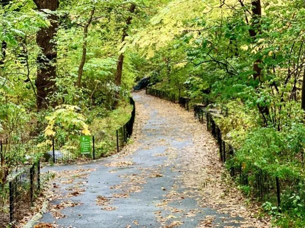 Central Park Paradise-Walking Tour