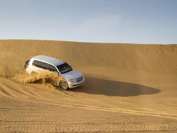 Qatar Authentic Safari Tour - Half Day Private Tour from Doha