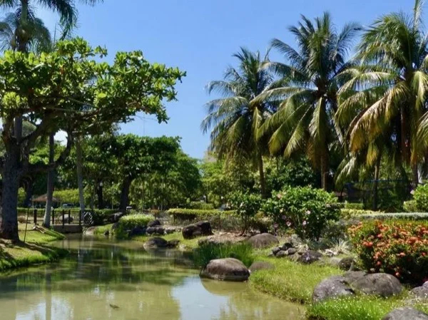 Nature Adventure in Ocho Rios, Jamaica - Half Day Shore Excursion