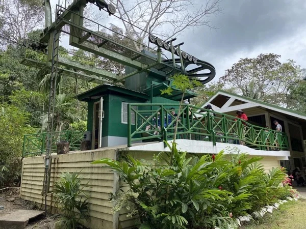 Rainforest Aerial Tram Adventure at Soberania National Park
