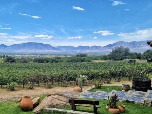 Salta Flavors Road Trip - Private Wine Tour