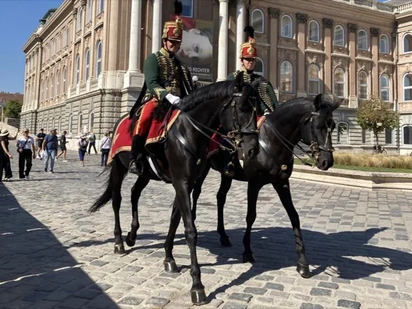 Private Walking Tour of the Buda Castle