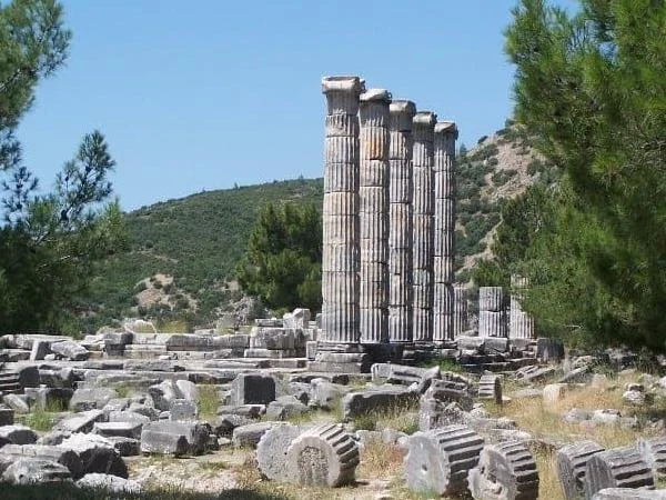 Full-day Private Tour of Priene, Miletus and Didyma with an expert guide