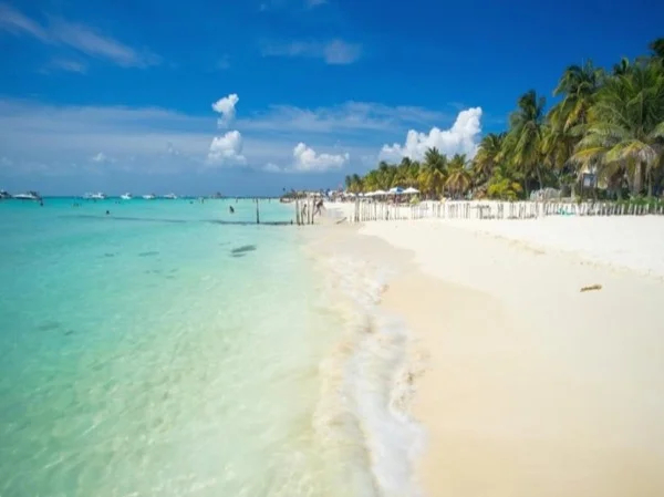 Cover media image