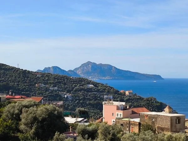 Sorrento, Massa Lubrense and Positano coast to coast driving tour among hills and seascapes - Half Day