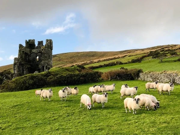 Photography Tour of The Dingle Peninsula