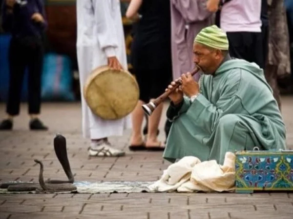Marrakech Magic