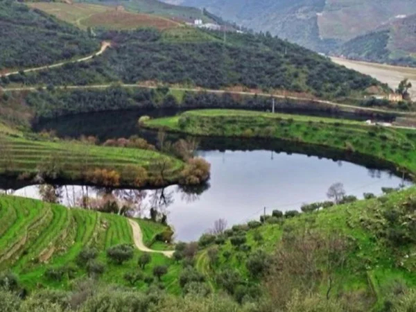 Douro Valley - Full Day Tour from Porto