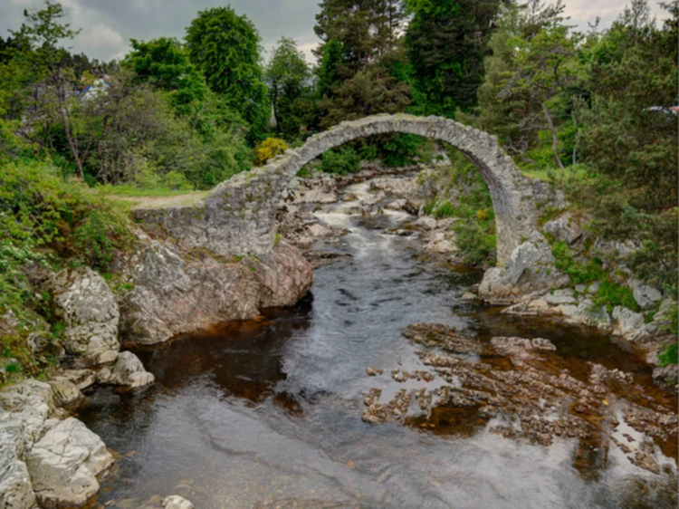 Cover media image