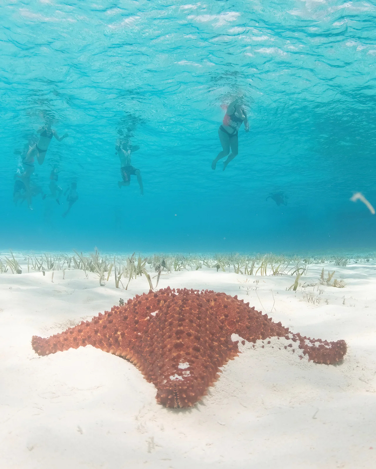 Cover media image