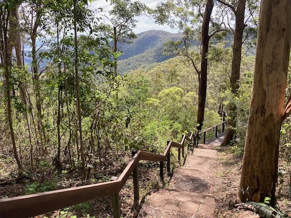 Mount Glorious - Full Day private Tour from Brisbane