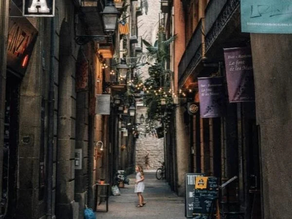 Half Day Barcelona Evening Tour (History, Architecture & Wine and cheese experience)